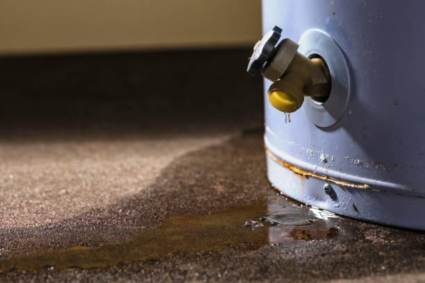 Best Flooded house restoration  in Maplewood, MN