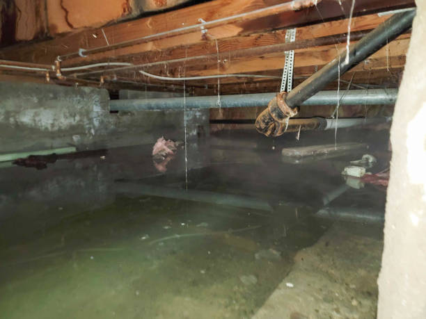 Trusted MN Water damage restoration Experts