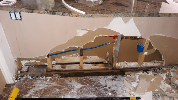 Best Fire Damage Restoration  in Maplewood, MN
