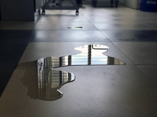 Best Water damage restoration experts  in Maplewood, MN