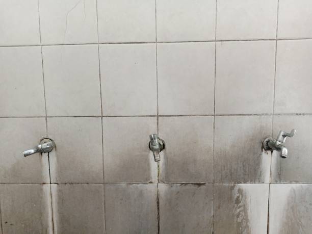 Best Water damage restoration near me  in Maplewood, MN