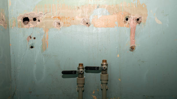 Best Mold removal after water damage  in Maplewood, MN