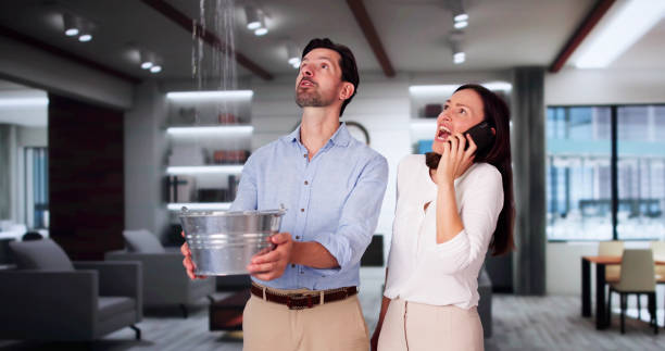 Best Emergency water damage restoration  in Maplewood, MN