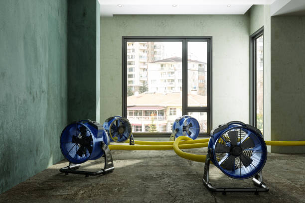 Trusted MN Water damage restoration Experts